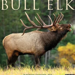 2025 Calendars|Willow Creek 2025 Bull Elk 12" x 12" Monthly Wall Calendar, Multicolor (42007)