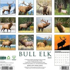 2025 Calendars|Willow Creek 2025 Bull Elk 12" x 12" Monthly Wall Calendar, Multicolor (42007)