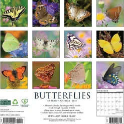 2025 Calendars|Willow Creek 2025 Butterflies 12" x 12" Monthly Wall Calendar (42052)