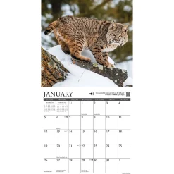 2025 Calendars|Willow Creek 2025 Call of the Wild 12
