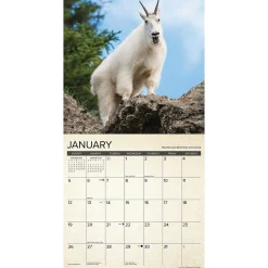 2025 Calendars|Willow Creek 2025 Canadian Fish & Wild Game 12