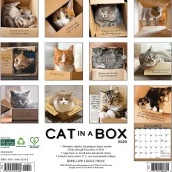 2025 Calendars|Willow Creek 2025 Cat in a Box 12" x 12" Monthly Wall Calendar (42182)