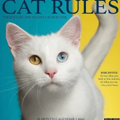 2025 Calendars|Willow Creek 2025 Cat Rules 12" x 12" Monthly Wall Calendar (42199)