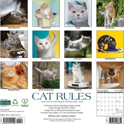 2025 Calendars|Willow Creek 2025 Cat Rules 12" x 12" Monthly Wall Calendar (42199)