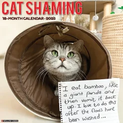 2025 Calendars|Willow Creek 2025 Cat Shaming 12" x 12" Monthly Wall Calendar (42205)