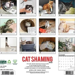 2025 Calendars|Willow Creek 2025 Cat Shaming 12" x 12" Monthly Wall Calendar (42205)