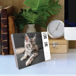 2025 Calendars|Willow Creek 2025 Cats 6