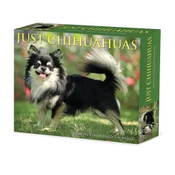2025 Calendars|Willow Creek 2025 Chihuahuas 6" x 5.5" Day-to-Day Calendar, Multicolor (40737)