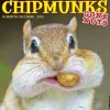 2025 Calendars|Willow Creek 2025 Chipmunks (Gone Nuts!) 12" x 12" Monthly Wall Calendar (42335)