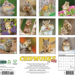 2025 Calendars|Willow Creek 2025 Chipmunks (Gone Nuts!) 12" x 12" Monthly Wall Calendar (42335)