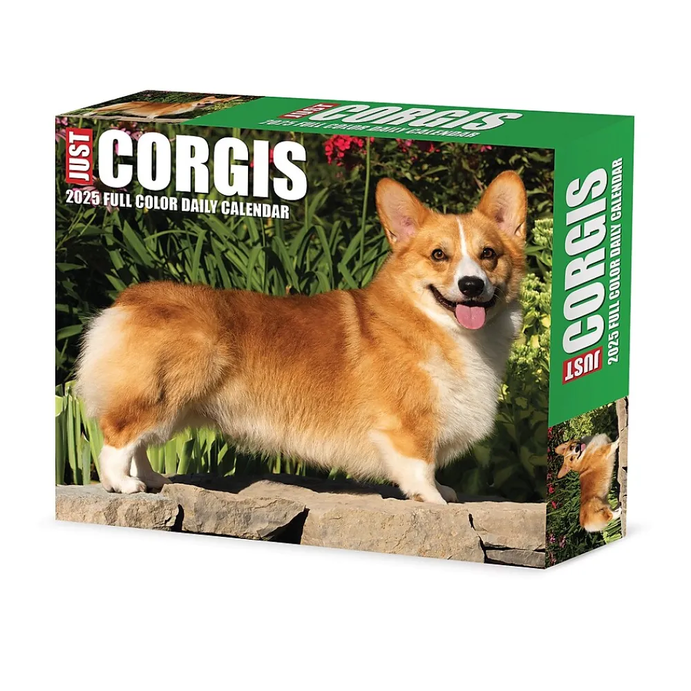 2025 Calendars|Willow Creek 2025 Corgis (Dogs and Puppies) 6" x 5.5" Day-to-Day Calendar, Multicolor (40751)
