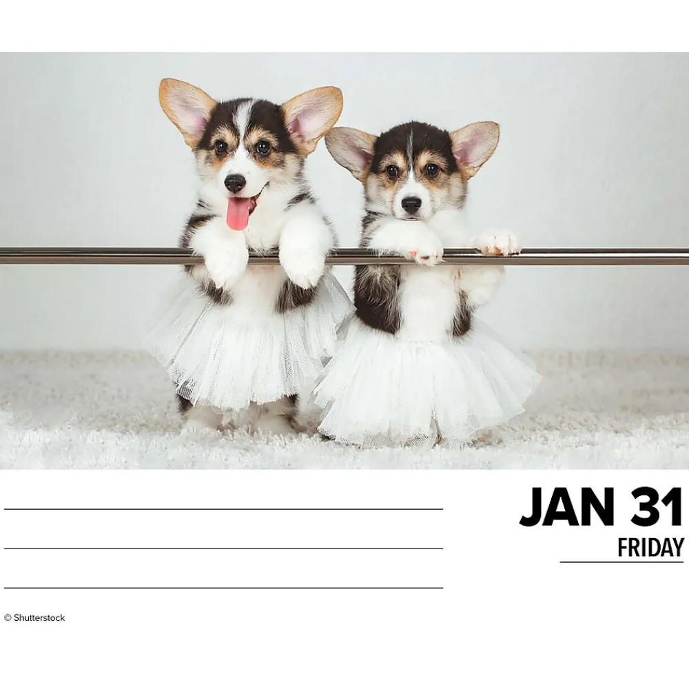 2025 Calendars|Willow Creek 2025 Corgis (Dogs and Puppies) 6" x 5.5" Day-to-Day Calendar, Multicolor (40751)