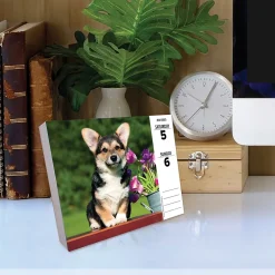 2025 Calendars|Willow Creek 2025 Corgis (Dogs and Puppies) 6