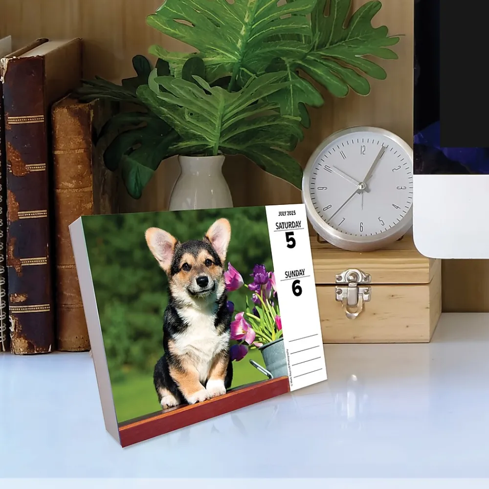 2025 Calendars|Willow Creek 2025 Corgis (Dogs and Puppies) 6" x 5.5" Day-to-Day Calendar, Multicolor (40751)