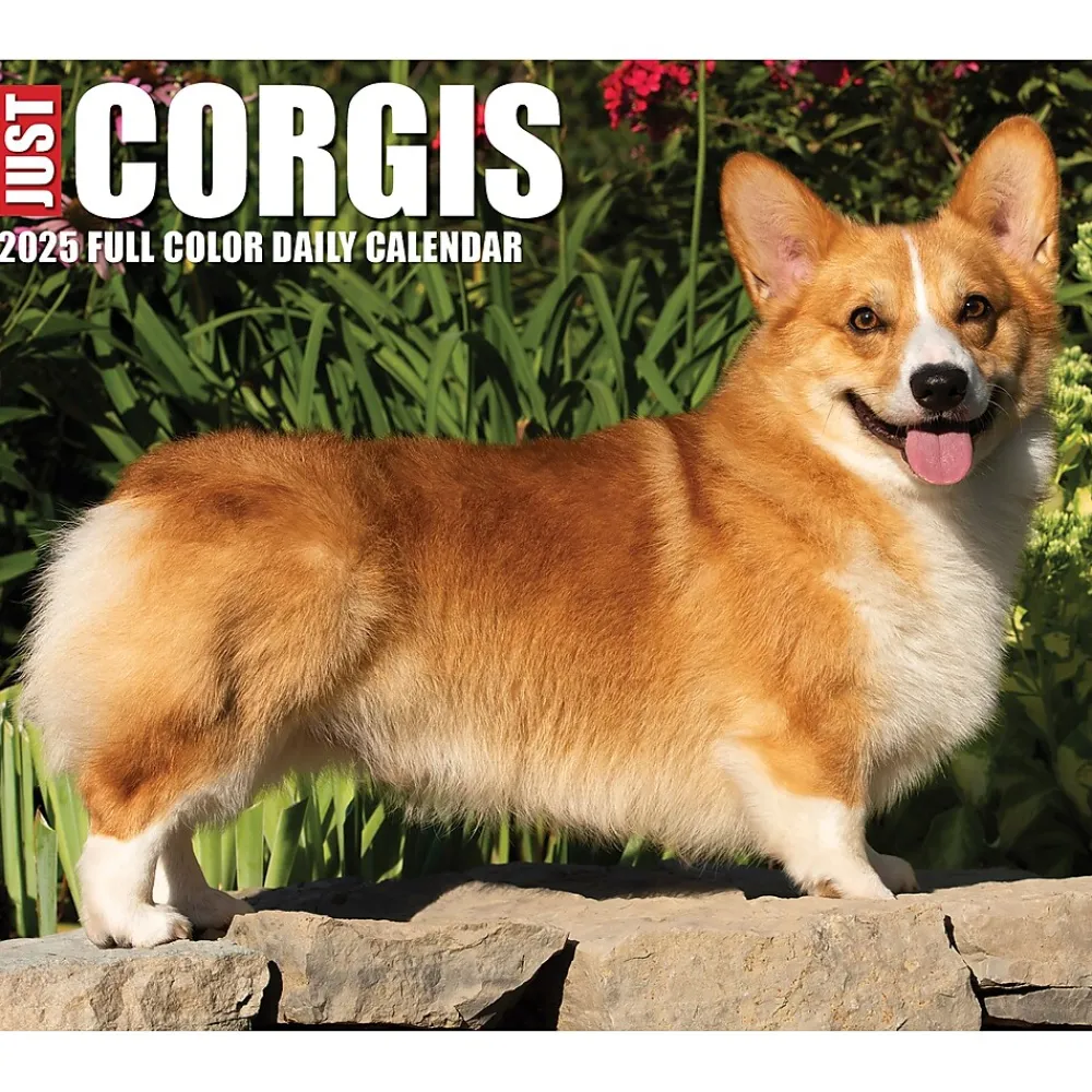 2025 Calendars|Willow Creek 2025 Corgis (Dogs and Puppies) 6" x 5.5" Day-to-Day Calendar, Multicolor (40751)