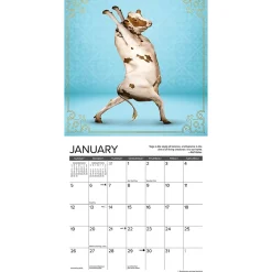 2025 Calendars|Willow Creek 2025 Cow Yoga 7