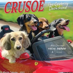 2025 Calendars|Willow Creek 2025 Crusoe the Celebrity Dachshund 12" x 12" Monthly Wall Calendar (42632)