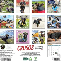 2025 Calendars|Willow Creek 2025 Crusoe the Celebrity Dachshund 12" x 12" Monthly Wall Calendar (42632)
