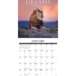 2025 Calendars|Willow Creek 2025 Demotivationals 12