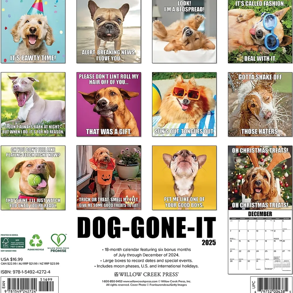 2025 Calendars|Willow Creek 2025 Dog-Gone-It 12" x 12" Monthly Wall Calendar (42724)
