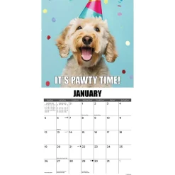 2025 Calendars|Willow Creek 2025 Dog-Gone-It 12