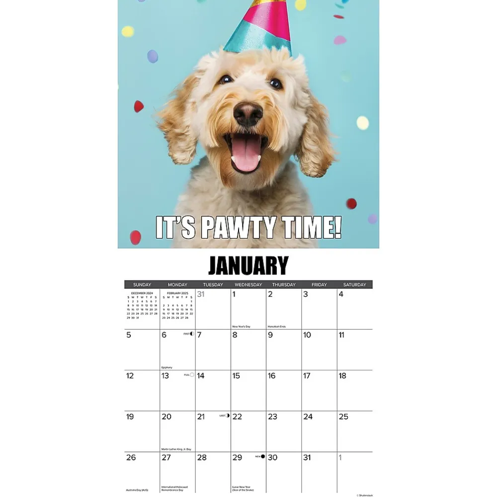 2025 Calendars|Willow Creek 2025 Dog-Gone-It 12" x 12" Monthly Wall Calendar (42724)