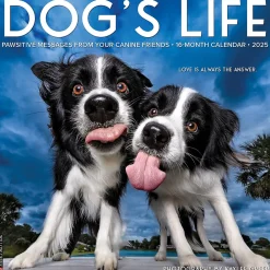 2025 Calendars|Willow Creek 2025 Dog's Life 12" x 12" Monthly Wall Calendar (42731)