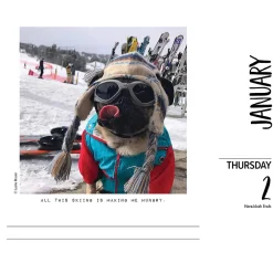 2025 Calendars|Willow Creek 2025 Doug the Pug 6