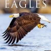 2025 Calendars|Willow Creek 2025 Eagles 12" x 12" Monthly Wall Calendar (42786)