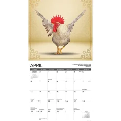 2025 Calendars|Willow Creek 2025 Farm Yoga 12