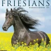 2025 Calendars|Willow Creek 2025 Friesians 12" x 12" Monthly Wall Calendar (42960)
