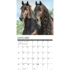 2025 Calendars|Willow Creek 2025 Friesians 12