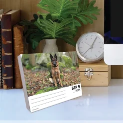 2025 Calendars|Willow Creek 2025 German Shepherds 6