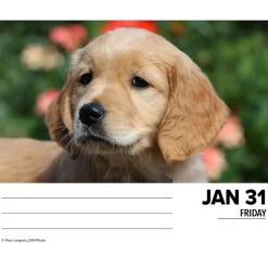 2025 Calendars|Willow Creek 2025 Goldens 6