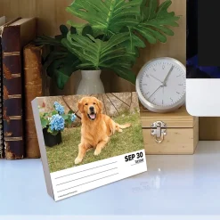 2025 Calendars|Willow Creek 2025 Goldens 6