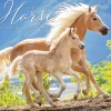 2025 Calendars|Willow Creek 2025 Happiness is a Horse 12" x 12" Monthly Wall Calendar (43271)