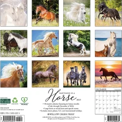 2025 Calendars|Willow Creek 2025 Happiness is a Horse 12" x 12" Monthly Wall Calendar (43271)