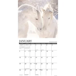 2025 Calendars|Willow Creek 2025 Happiness is a Horse 12
