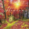 2025 Calendars|Willow Creek 2025 Heaven Has a Forest 12" x 12" Monthly Wall Calendar (43325)