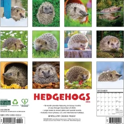 2025 Calendars|Willow Creek 2025 Hedgehogs 12" x 12" Monthly Wall Calendar (43332)