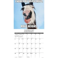 2025 Calendars|Willow Creek 2025 Horsin’ Around 12