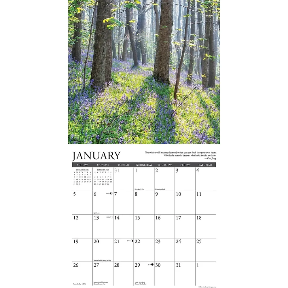 2025 Calendars|Willow Creek 2025 Inspirations 12" x 12" Monthly Wall Calendar (43493)