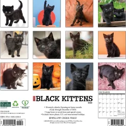 2025 Calendars|Willow Creek 2025 Just Black Kittens 12" x 12" Monthly Wall Calendar, Multicolor (41840)