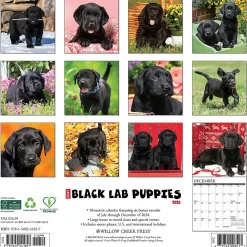 2025 Calendars|Willow Creek 2025 Just Black Lab Puppies 2025 Wall Calendar 12" x 12" (41857)