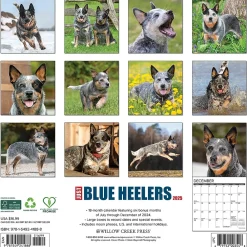 2025 Calendars|Willow Creek 2025 Just Blue Heelers 12" x 12" Monthly Wall Calendar, Multicolor (41888)
