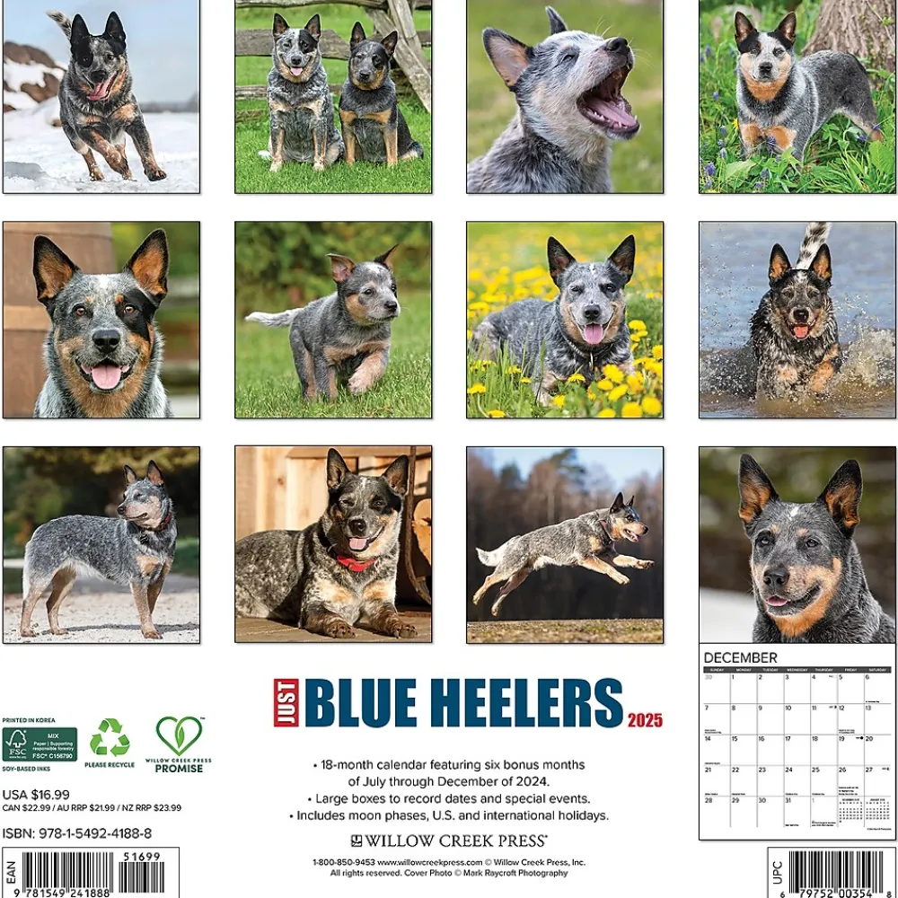 2025 Calendars|Willow Creek 2025 Just Blue Heelers 12" x 12" Monthly Wall Calendar, Multicolor (41888)