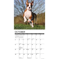 2025 Calendars|Willow Creek 2025 Just Boxer Puppies 12