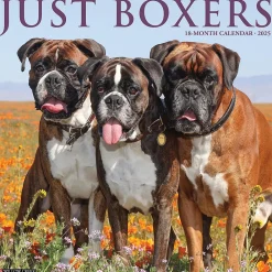 2025 Calendars|Willow Creek 2025 Just Boxers 12" x 12" Monthly Wall Calendar, Multicolor (41949)