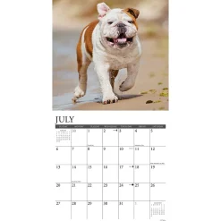 2025 Calendars|Willow Creek 2025 Just Bulldogs 12