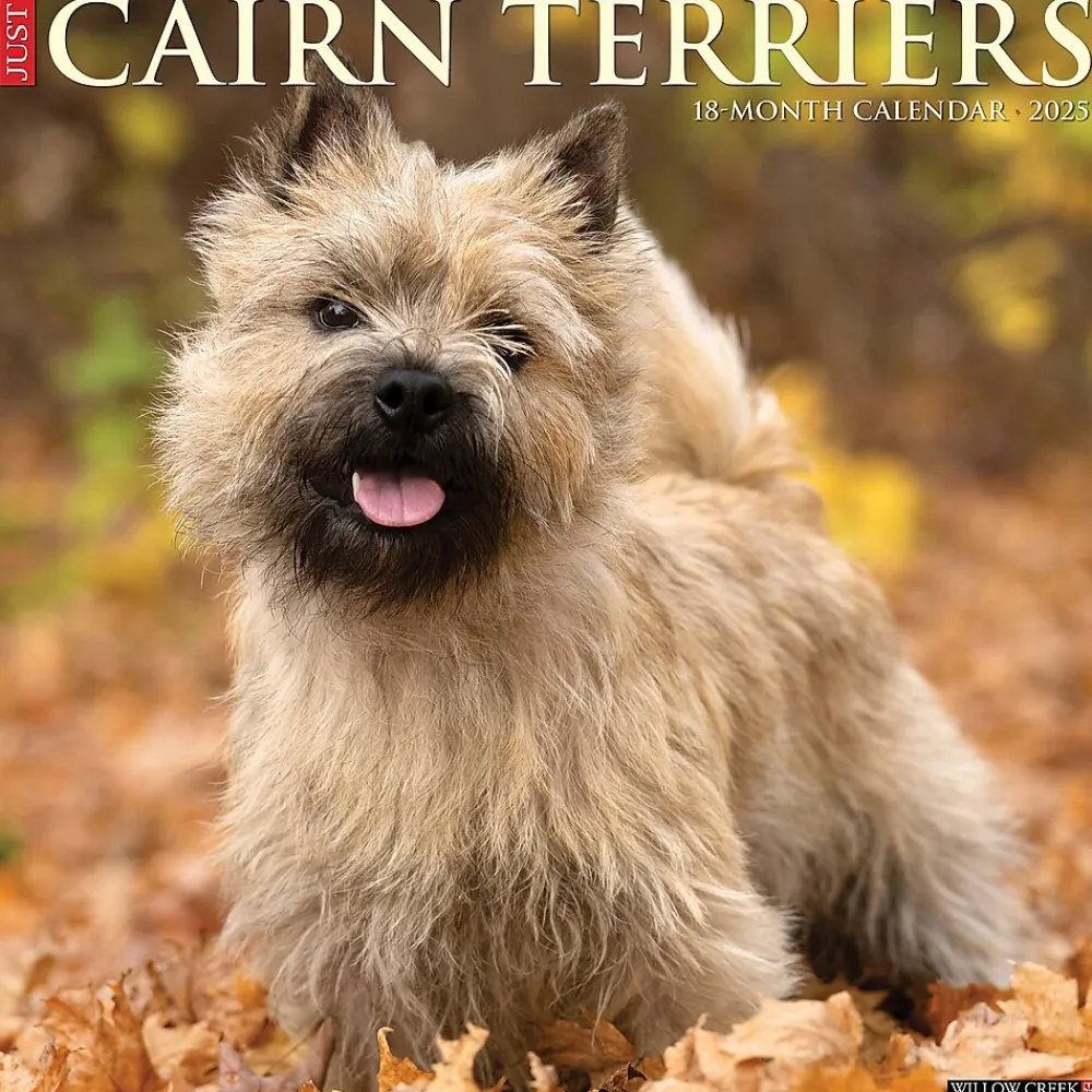 2025 Calendars|Willow Creek 2025 Just Cairn Terriers 12" x 12" Monthly Wall Calendar (42083)